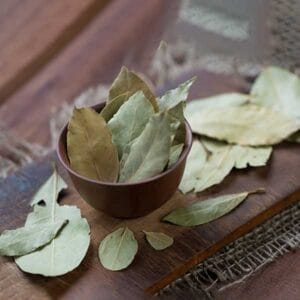 Bay Leaf